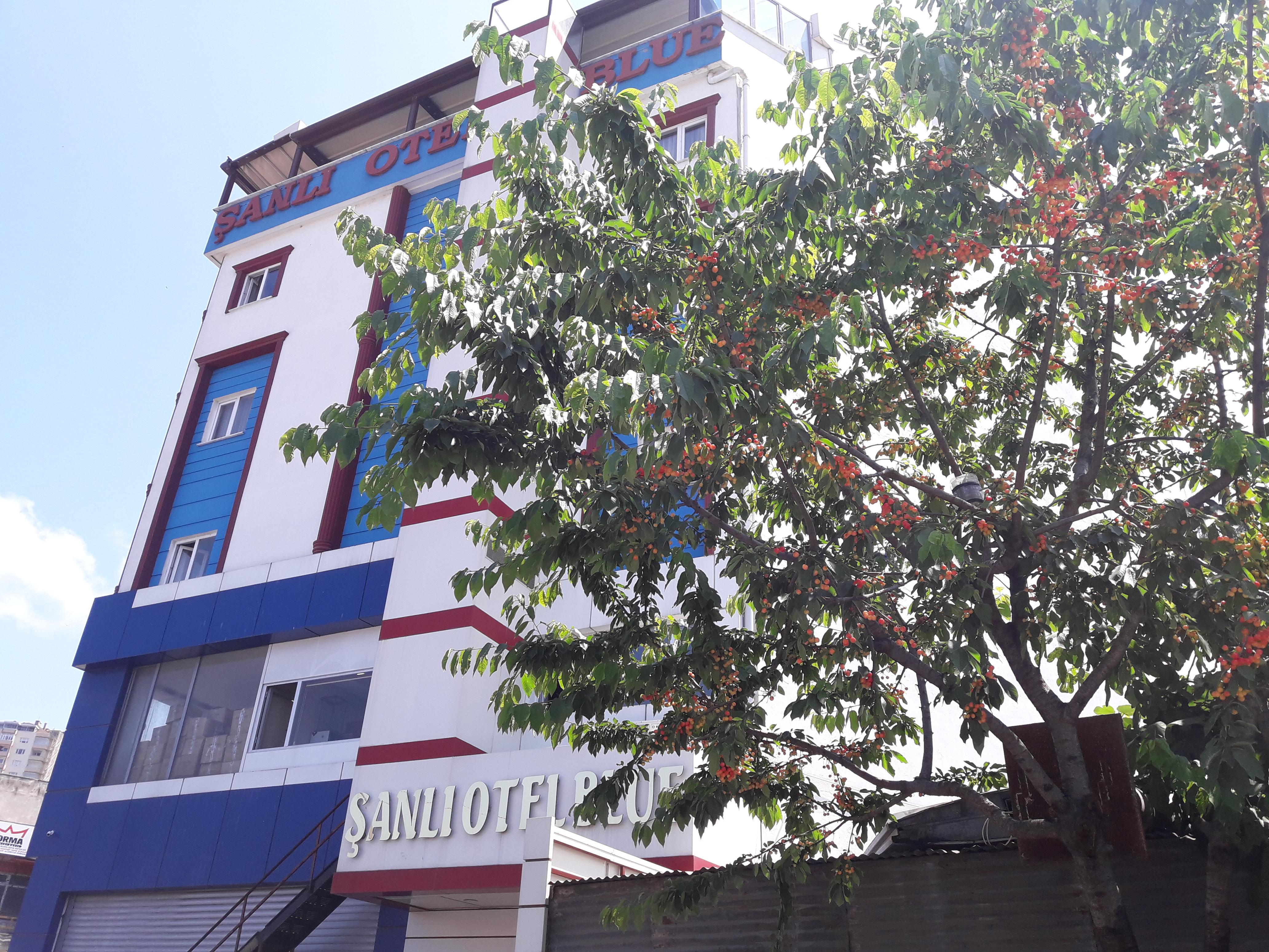 Sanli Hotel Blue Trabzon Exteriör bild